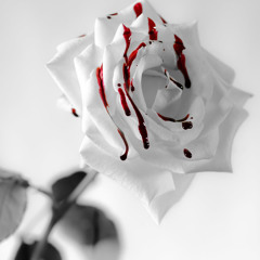 White Rose ft (Vvrrsace)