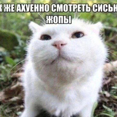 flockaa - spend & fuck  - Как ты хочешь поднять кэш ебанный лэйм