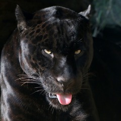 Proud of Me (unfinished)