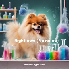 Chemicals & Hyper Kenzo - Right Now (Na Na Na) (Techno)