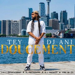 TEY X DJ ANI - TOUT DOUCEMENT ( Audio )
