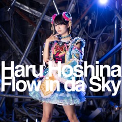 Flow in da Sky (Cover)