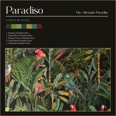 DC Promo Tracks: Faint Waves "Silent Shore" (Paradiso Mix)