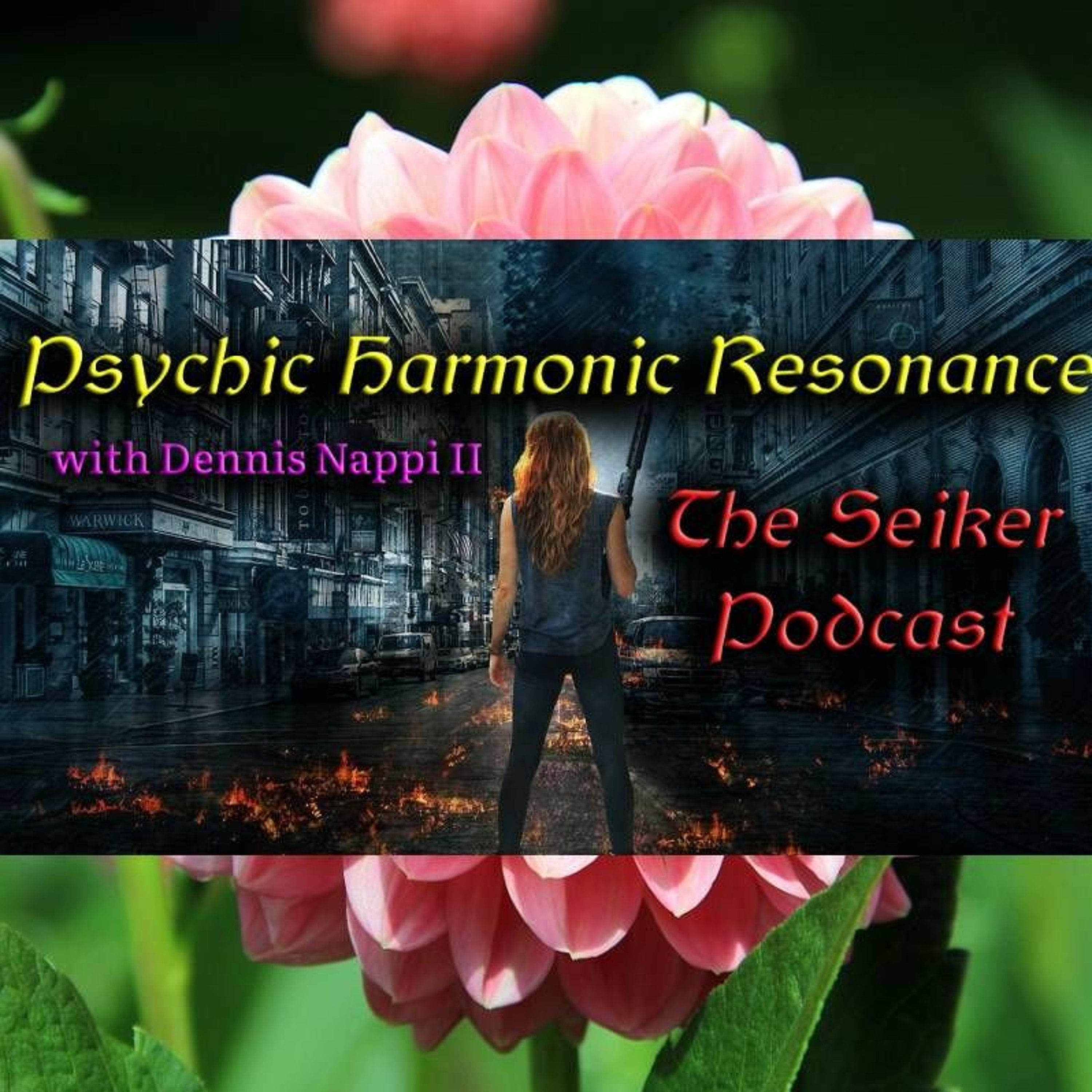 The Seiker Podcast