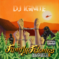 Family Felonies (Radio Edit) [feat. Camo Cowboys]