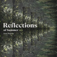 Reflections of Summer 001