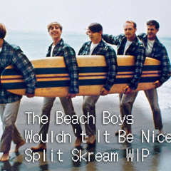 The Beach Boys - Wouldnt It Be Nice (Split Skream Remix) WIP v0.1