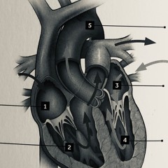 The Pacemaker (literally meant)