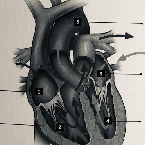 The Pacemaker (literally meant)