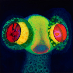 Listen to Black Hot Soup (DJ Shadow “My Own Reality” Re