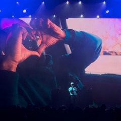 ScHoolboy Q - Blueslides (LIVE @ Camp Flog Gnaw 10th Anniversary)