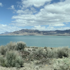 Sagebrush & Dust