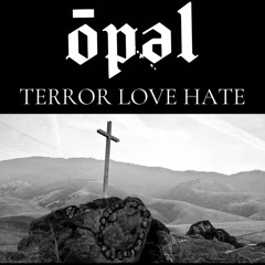 TERRORLOVEHATE