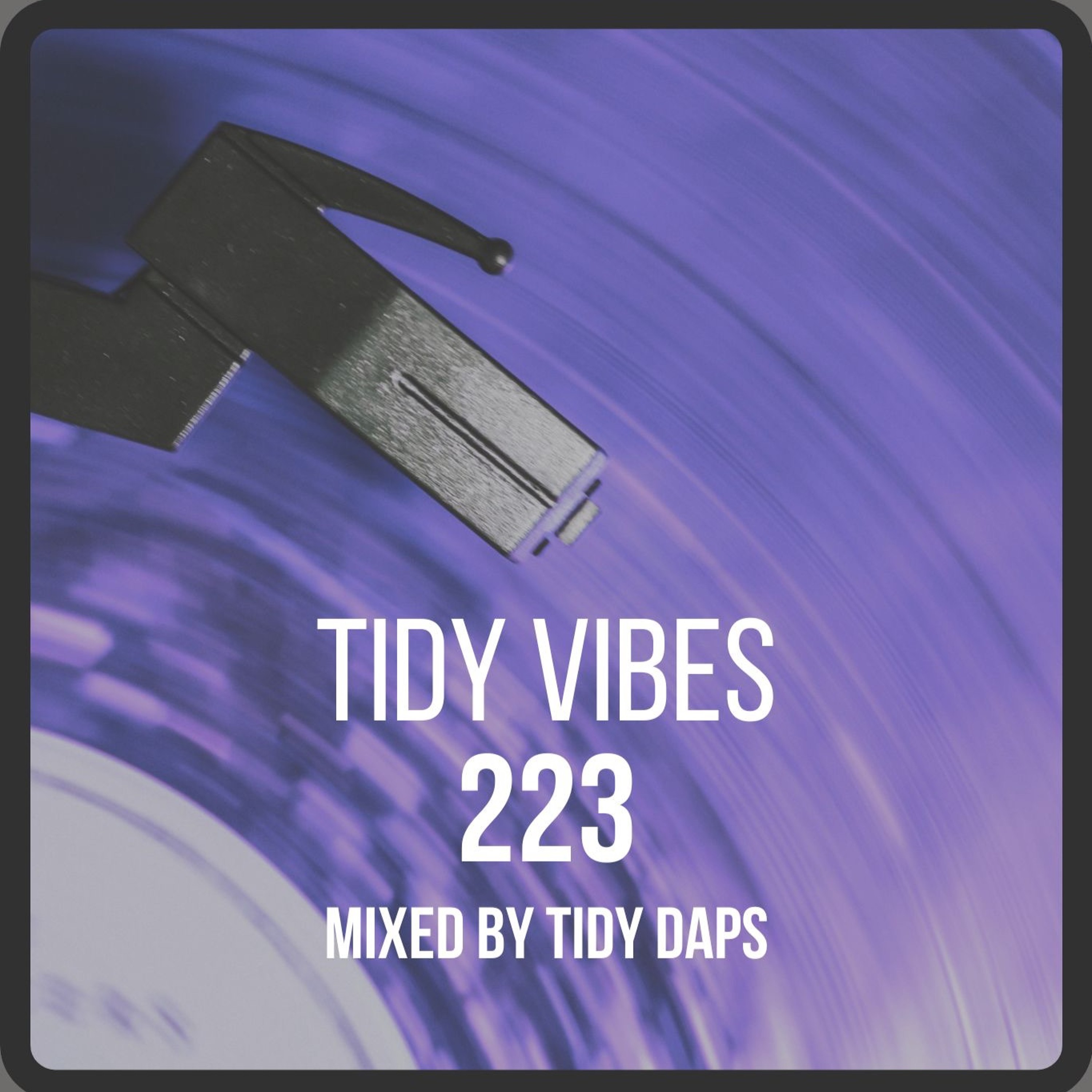 Tidy Vibes 223 episode artwork