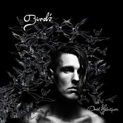 “Birds” (single version)