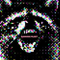 Raccoon Fleet 2 (86.5 Bpm) (out on all streaming platforms)