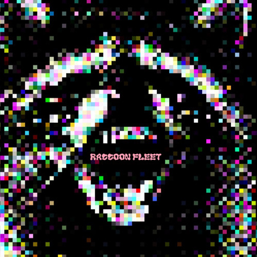Raccoon Fleet  (86.5 Bpm) (out on all streaming platforms)