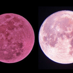 pretti trace - star (intro) | made on the Rapchat app (prod. by CLOUD8)