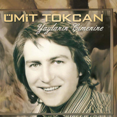 Lazutlar Salkım Saçak