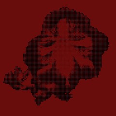 AKA MANTO - ENCOUNTER (AMARYLLIS VIP)