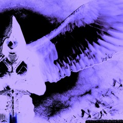 Seraphim Trashmissions 003