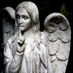 no chat (ft.9kriley)