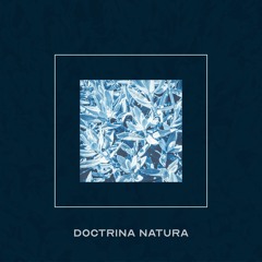 Doctrina Natura - Moon Goddess (Labyrinthine Remix) [Crescent London]
