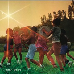 Global Groove