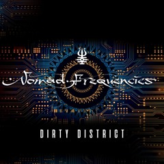 NOMAD FREQUENCIES  DIRTY DISTRICT (INSTRUMENTAL)