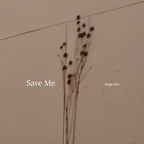 Save Me - BTS(방탄소년단) short vers.