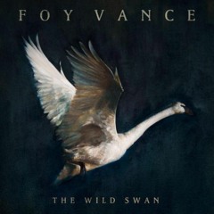 The Wild Swans: Foy Vance cover with Padruig Morrison