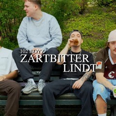 102 boyz - Zartbitter Lind (Snopsiii Remix)