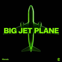 Angus & Julia Stone - Big Jet Plane [Mareels Remix]