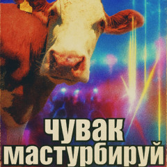 В ЧЕШКАХ НА ТАНЦПОЛЕ