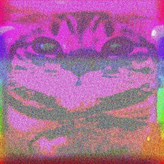 noisy