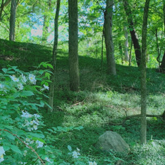 Whenever You’re Around - Bootstraps