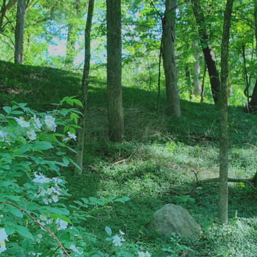 Whenever You’re Around - Bootstraps