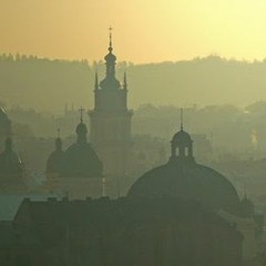 Ambient 77