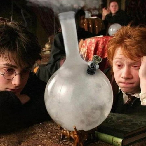 The_Fugo High times for ( Technoid/Crossbreed) set at Hogwarts🤘🌿