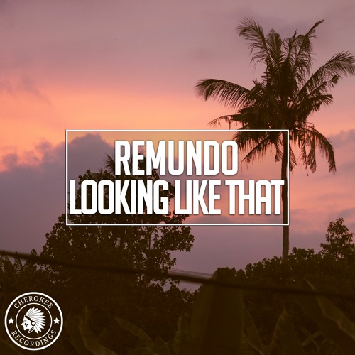 Remundo - Looking Like That