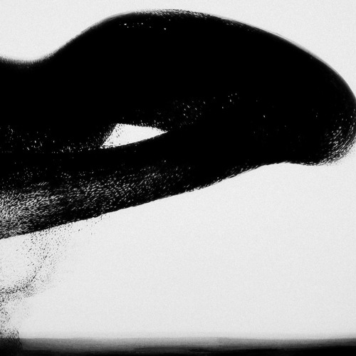 Self Replicating Synthetic Organism