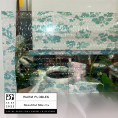 | WARM PUDDLES | w/ Beautiful Shrubs | E1