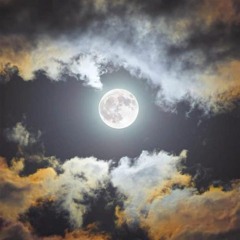 안성민 - 너를 그리며