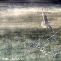 Absences (27-04-25) - J.Andreevska