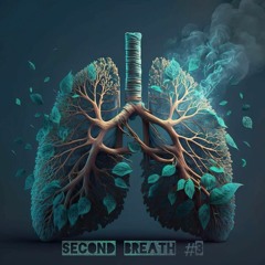 Air 1 - Second Breath 3