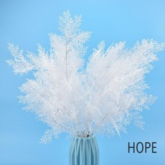Hope