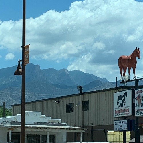 Stream Bags by Clairo (Producing with Logic Final) by Emma Whitney