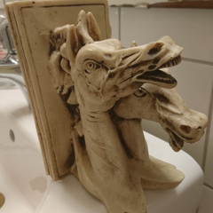 What is the Promise land ?