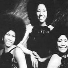 funk it up honey dub - pretty crazy show