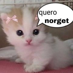 EUFORIA PRA SENTA ( MC Vmz )